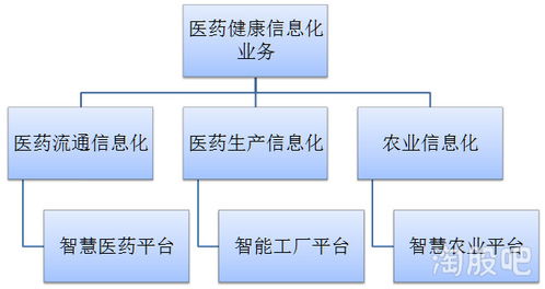 無競(jìng)爭(zhēng)對(duì)手的細(xì)分領(lǐng)域龍頭 軟件服務(wù)行業(yè)的廣闊發(fā)展空間